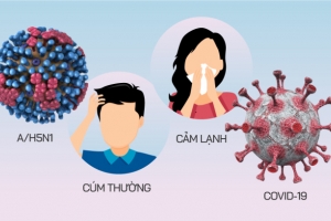 Cần Thơ tăng cường công tác phòng, chống cúm gia cầm lây sang người