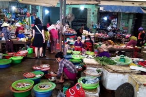 Bình Định tăng cường kiểm soát dịch cúm gia cầm A/H5N1