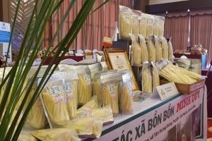Cà Mau sẽ triển khai 29 hoạt động thuộc Chương trình xúc tiến thương mại, du lịch và đầu tư