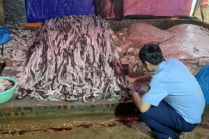 Phát hiện và xử lý 1,6 tấn da trâu tươi bốc mùi hôi thối tại Hưng Yên
