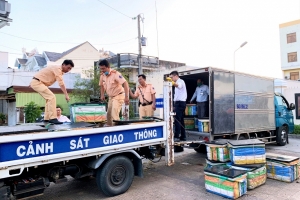 Phát hiện 600 kg tôm chứa tạp chất agar trên đường đi tiêu thụ