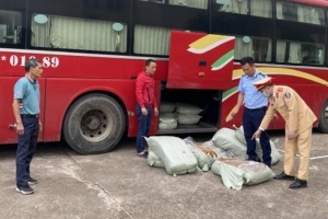 Quảng Ninh tiêu huỷ gần 500kg lòng lợn sấy khô ẩm mốc, bốc mùi
