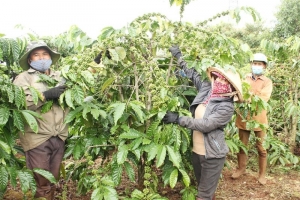 Gia Lai tích cực chuyển đổi số trong xây dựng nông thôn mới