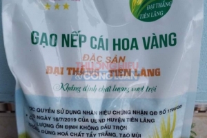 Gạo Nếp cái hoa vàng xã Đại Thắng- sản phẩm OCOP được nhiều người tiêu dùng đón nhận