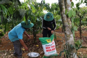 Vườn cà phê ba tầng sinh thái