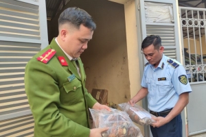 Lào Cai thu giữ hơn 1 tấn dược liệu không rõ nguồn gốc