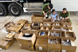 Bình Định tạm giữ một lô hàng vận chuyển trái phép trị giá 500 triệu đồng