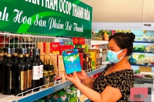 Xây dựng nông thôn mới gắn với phát triển các sản phẩm OCOP