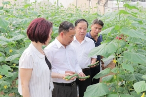 Bắc Ninh: Tỷ trọng ứng dụng công nghệ cao trong sản xuất nông nghiệp đạt trên 40% vào năm 2030