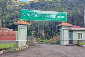 Thanh tra việc chấp hành pháp luật về đầu tư công tại tỉnh Kiên Giang