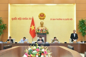Ủy ban Thường vụ Quốc hội cho ý kiến về Luật Trật tự an toàn giao thông đường bộ