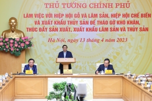 Thủ tướng chủ trì hội nghị tháo gỡ khó khăn, thúc đẩy sản xuất, xuất khẩu lâm thủy sản