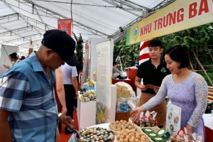 Hà Nội công bố và trao giấy chứng nhận sản phẩm OCOP năm 2022