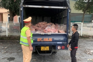 Nghệ An: Tiêu hủy 600 kg cổ, cánh gà đông lạnh không rõ nguồn gốc xuất xứ