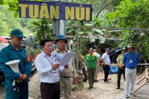 Đà Nẵng: Hàng loạt công trình xây dựng trái phép ở bán đảo Sơn Trà bị cưỡng chế