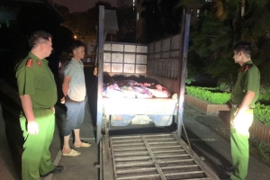 Vĩnh Phúc phát hiện, bắt giữ đối tượng vận chuyển khoảng 1 tấn lợn chết trên đường đi tiêu thụ