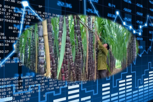 VN-Index vẫn loay hoay tìm hướng đi?