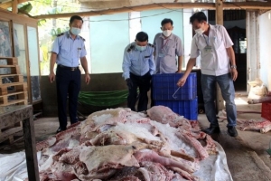 Kịp thời ngăn chặn hơn 1,7 tấn thịt heo bốc mùi hôi thối chuẩn bị đưa tiêu thụ