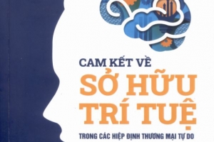 Ấn phẩm “Cam kết về Sở hữu trí tuệ trong các Hiệp định thương mại tự do”