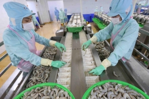 Việt Nam xuất siêu hơn 6,3 tỷ USD