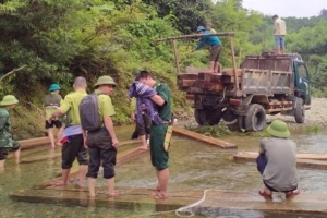 Hà Tĩnh: Phát hiện lượng lớn gỗ lậu tập kết dưới lòng suối Rào Giàng
