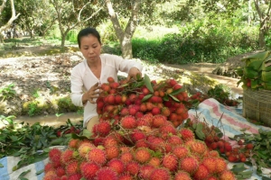 Xúc tiến mở cửa thị trường nông sản Việt Nam - Nhật Bản