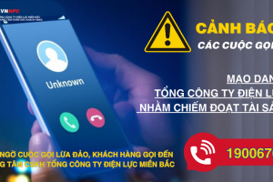 Mạo danh Tổng công ty Điện lực miền Bắc thông tin không đúng sự thật nhằm lừa đảo khách hàng