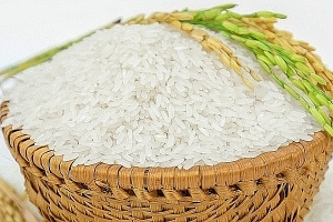 Giá lúa gạo hôm nay 21/5: Thị trường xuất khẩu tích cực, giá neo cao