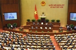 Quốc hội thảo luận tại hội trường về Dự thảo Luật Đấu thầu (sửa đổi)