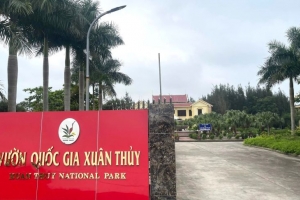 Sở GD&ĐT Hà Nội yêu cầu các trường học không tổ chức hoạt động trải nghiệm tự phát