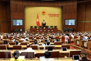 Thảo luận về Luật Công an nhân dân và Luật Xuất cảnh, nhập cảnh