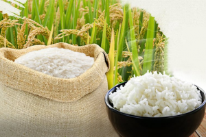 Giá lúa gạo hôm nay 27/5: Tiếp tục giữ ổn định