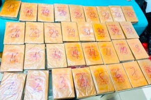 Công an TP. Hồ Chí Minh thu giữ gần 60 kg ma túy các loại