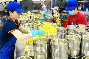 Thanh Hóa nỗ lực khơi thông, mở rộng thị trường xuất khẩu
