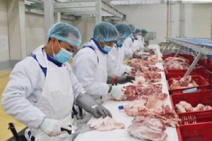 Tháng 5: Giá trị nhập khẩu sản phẩm chăn nuôi ước đạt 355 triệu USD