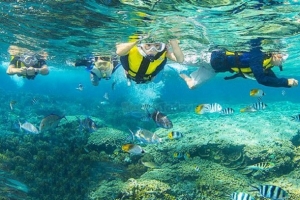 Quảng Ninh: Nghiên cứu phương án tổ chức thành lập khu bảo tồn biển Cô Tô, Đảo Trần