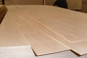 Hoa Kỳ gia hạn thời gian ban hành kết luận vụ việc điều tra lẩn tránh thuế chống bán phá giá