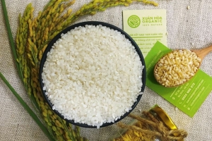 Giá lúa gạo hôm nay 6/6: Giá gạo tăng 50 đồng/kg