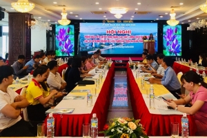 Bình Định: Bổ sung tiêu chí nâng cao chất lượng dịch vụ kinh doanh du lịch