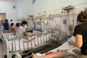 TP. Hồ Chí Minh: Nguy cơ bùng phát dịch sốt xuất huyết và tay chân miệng
