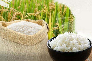 Giá lúa gạo hôm nay 7/6: Gạo tăng 50 đồng/kg, thị trường sôi động