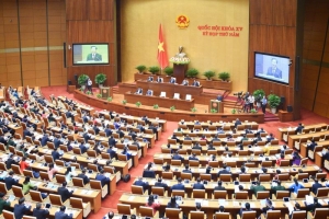 Phó thủ tướng báo cáo giải trình trước Quốc hội