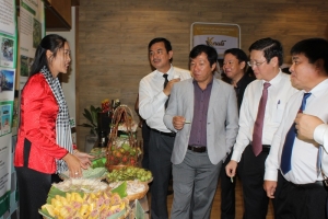 Du lịch Bà Rịa - Vũng Tàu và Đông Nam Bộ đi tìm con đường mới