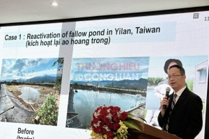 Khai mạc phiên kết nối giữa các tổ chức, doanh nghiệp Việt Nam và Đài Loan (Trung Quốc) tại TP. Hải Phòng