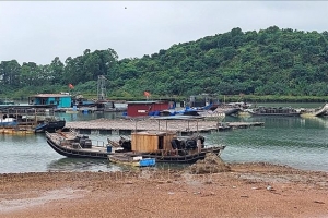 Quảng Ninh xử lý dứt điểm vi phạm lấn chiếm bãi triều để nuôi trồng thủy sản