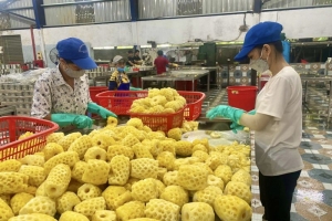 Thanh Hóa: Các doanh nghiệp đang đối mặt với nhiều khó khăn