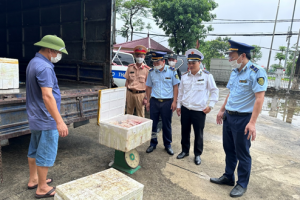 Phát hiện phương tiện vận chuyển 119kg nội tạng động vật không rõ nguồn gốc xuất xứ