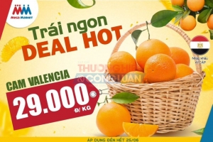 Mega Market Hồng Bàng - Hải Phòng và chương trình khuyến mại tròn 7 năm tuổi