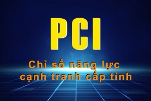 Thanh Hóa nỗ lực tháo gỡ “điểm nghẽn” về chỉ số PCI