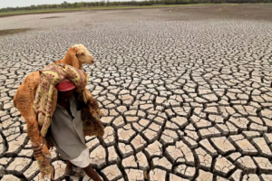 Cảnh báo về sự xuất hiện trở lại của hiện tượng El Nino khiến nhiệt độ toàn cầu tăng cao